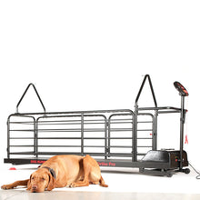 Last inn bildet i Galleri-visningsprogrammet, Dog Runner – Ortho Pro