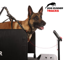 Last inn bildet i Galleri-visningsprogrammet, Dog Runner – Tracks - Tredemølle for hund