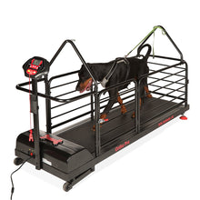Last inn bildet i Galleri-visningsprogrammet, Dog Runner – Ortho Pro
