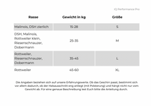Last inn bildet i Galleri-visningsprogrammet, IQ Sele ::: Performance Pro - Cobra
