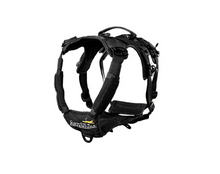 Last inn bildet i Galleri-visningsprogrammet, Infinity Sele - Standard 40 mm - Smal front - Multicam
