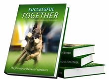 Last inn bildet i Galleri-visningsprogrammet, Bok ::: Successful together - 4 reviderte utgave.
